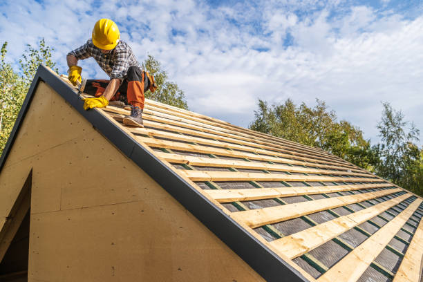 Roof Gutter Cleaning in Wade Hampton, SC