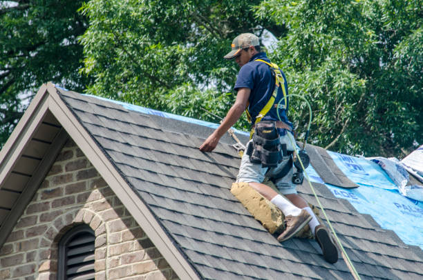 Best Roof Gutter Cleaning  in Wade Hampton, SC